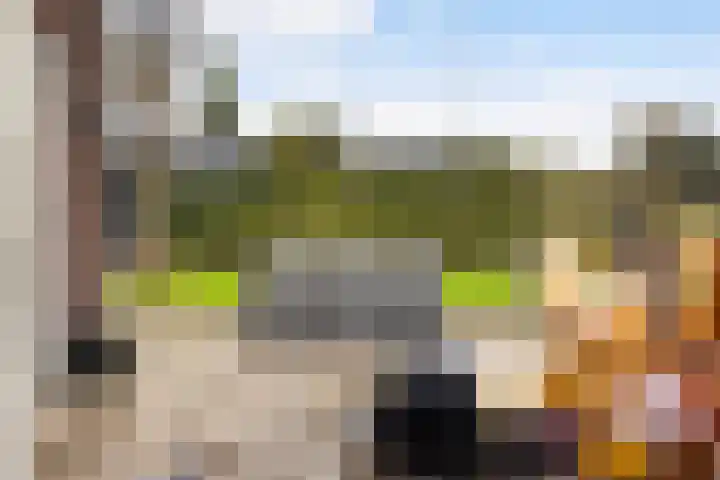 It Blauleech 21 Wirdum thumbnail 31