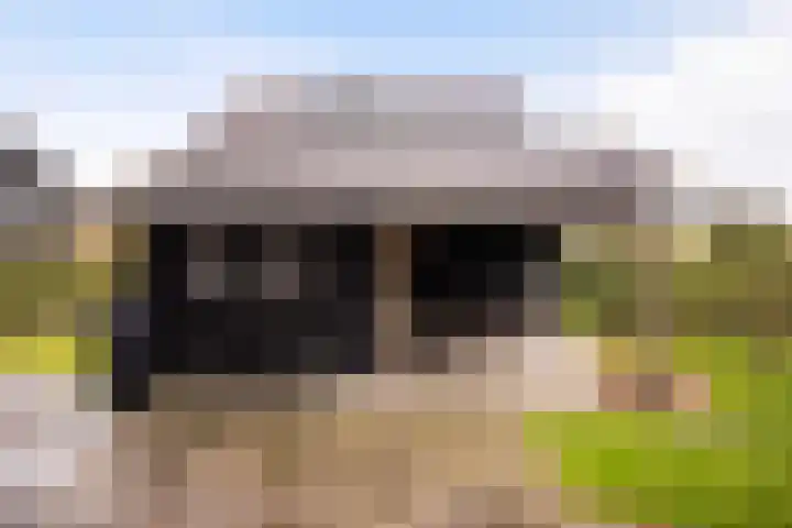 It Blauleech 21 Wirdum thumbnail 32