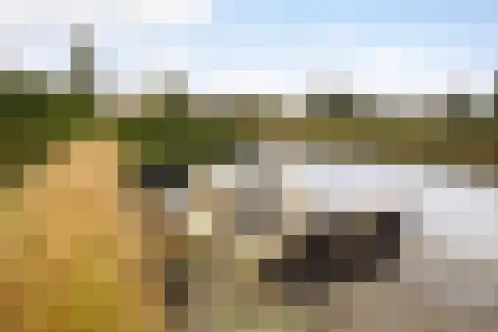 It Blauleech 21 Wirdum thumbnail 33