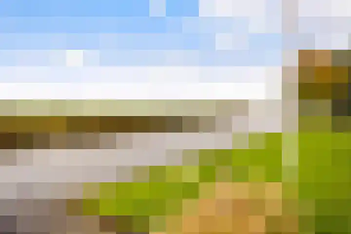 It Blauleech 21 Wirdum thumbnail 53