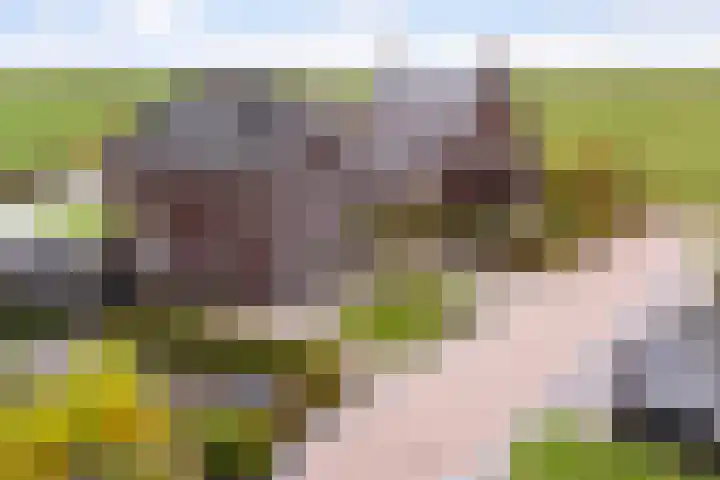 It Blauleech 21 Wirdum thumbnail 56