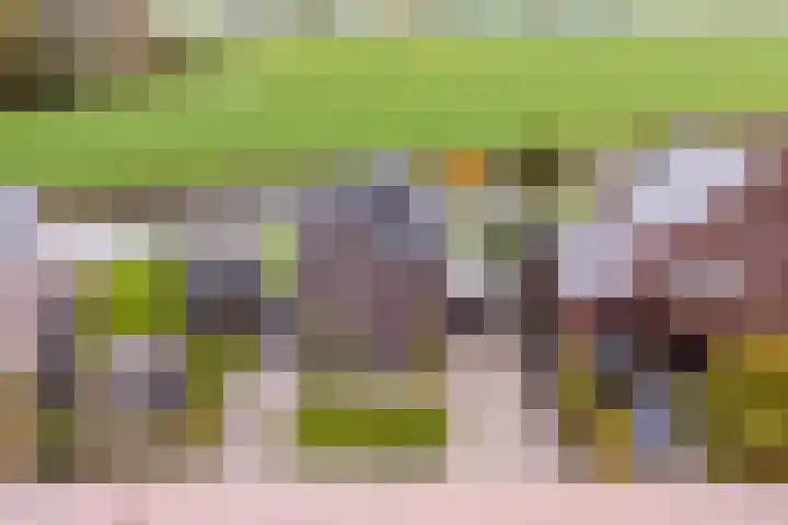 It Blauleech 21 Wirdum thumbnail 57