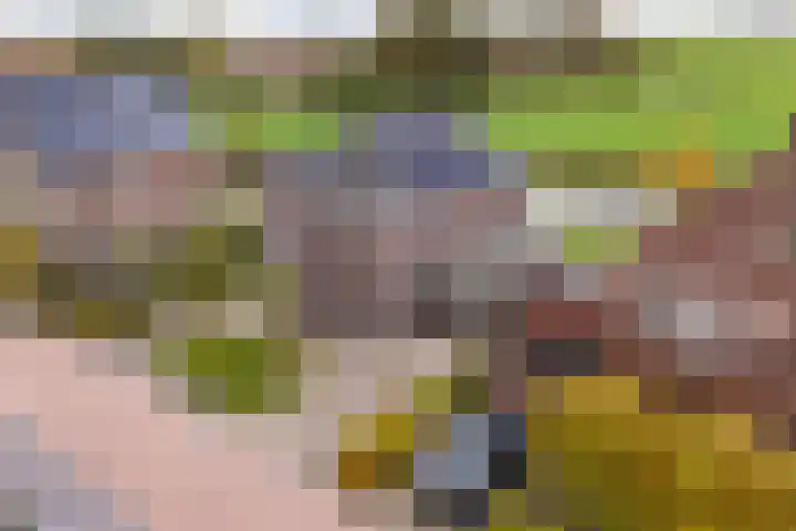 It Blauleech 21 Wirdum thumbnail 59