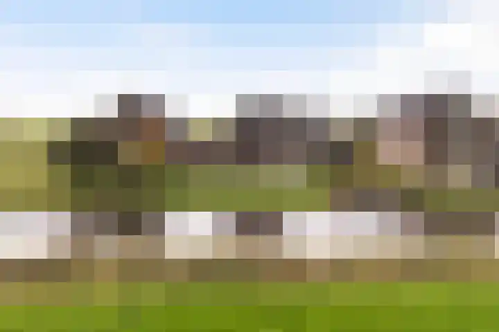 It Blauleech 21 Wirdum thumbnail 60