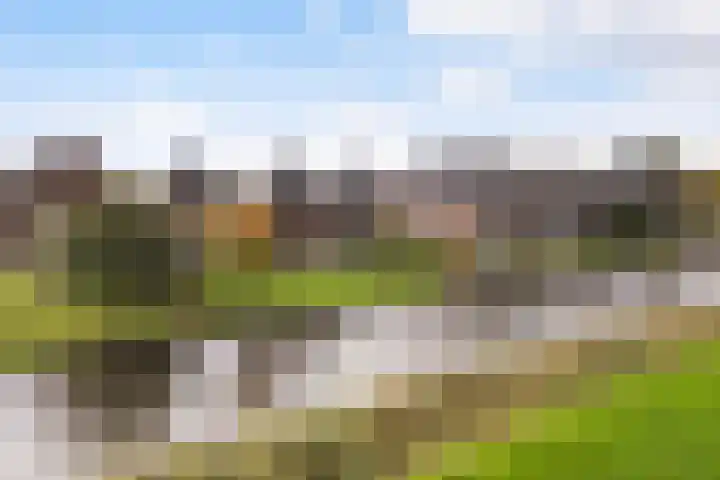 It Blauleech 21 Wirdum thumbnail 61