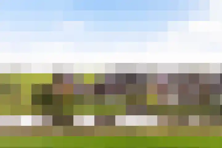 It Blauleech 21 Wirdum thumbnail 62