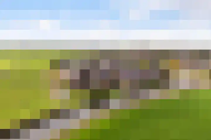 It Blauleech 21 Wirdum thumbnail 63