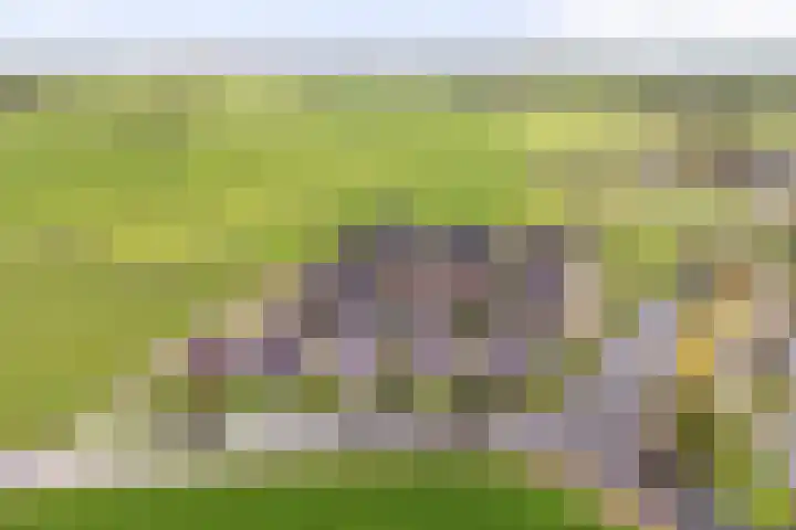 It Blauleech 21 Wirdum thumbnail 64