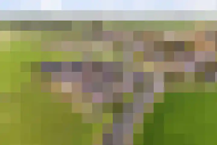 It Blauleech 21 Wirdum thumbnail 65