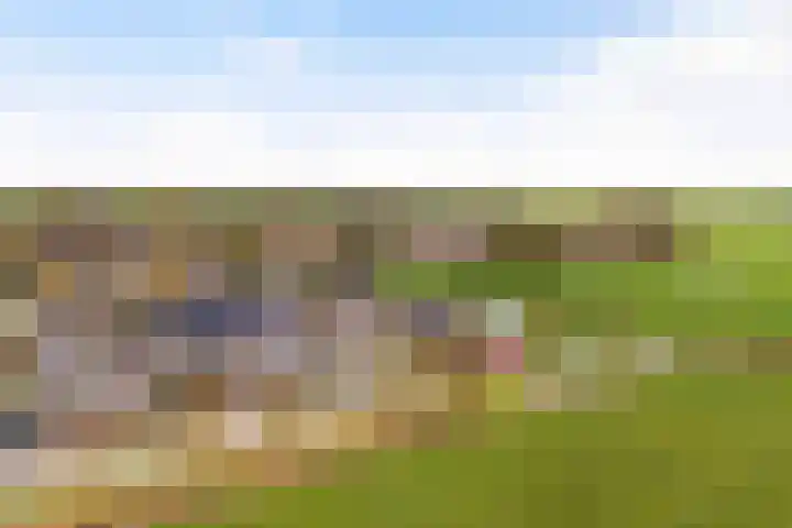 It Blauleech 21 Wirdum thumbnail 66
