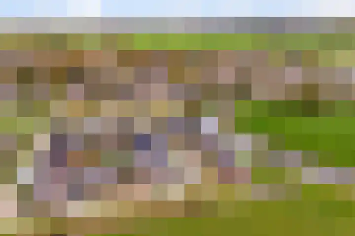 It Blauleech 21 Wirdum thumbnail 67