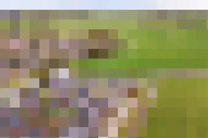 It Blauleech 21 Wirdum thumbnail 68