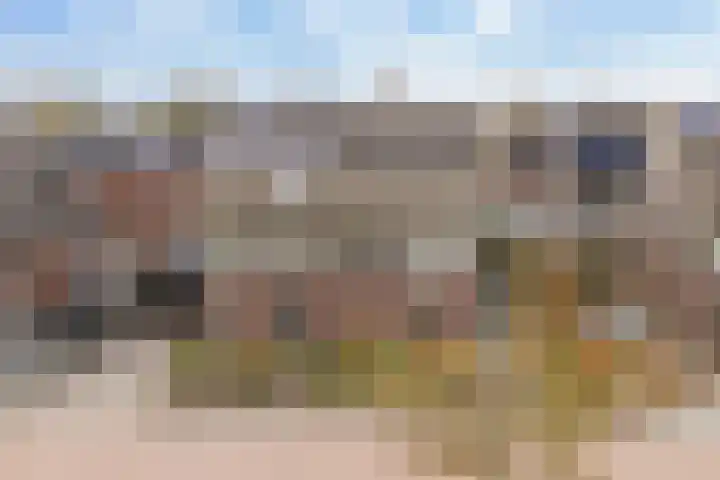 It Blauleech 54 Wirdum