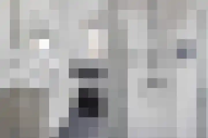 It Blauleech 54 Wirdum thumbnail 18