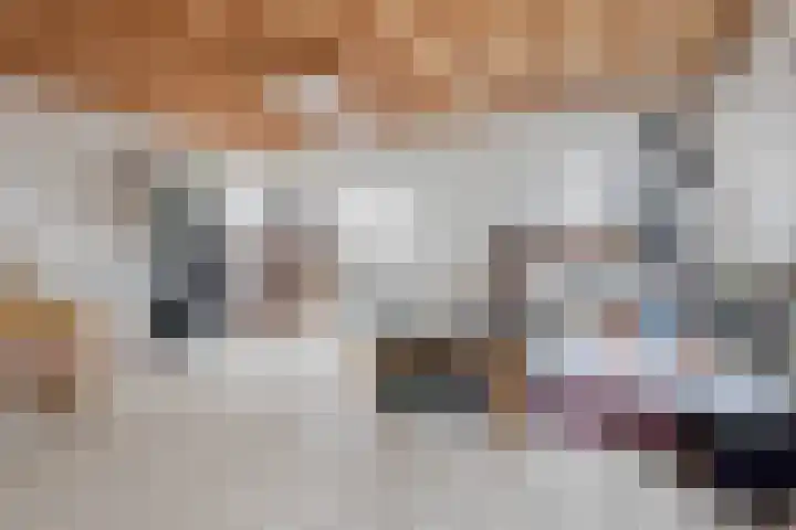 It Blauleech 54 Wirdum thumbnail 22