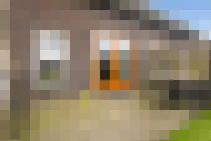 It Blauleech 54 Wirdum thumbnail 24