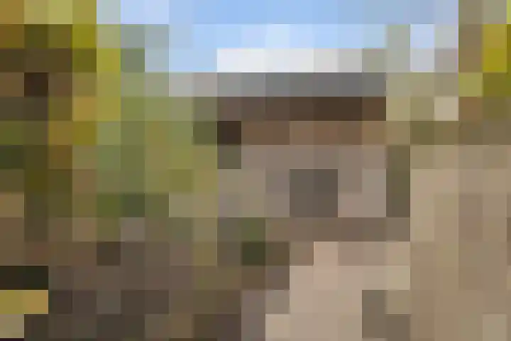 It Blauleech 54 Wirdum thumbnail 25