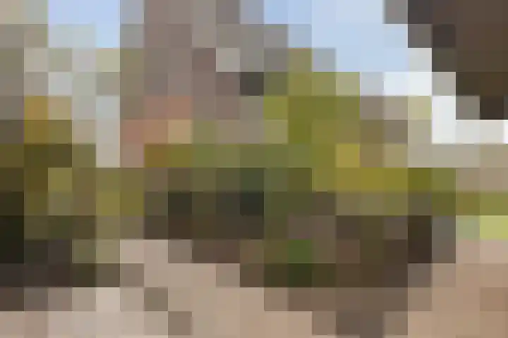 It Blauleech 54 Wirdum thumbnail 26