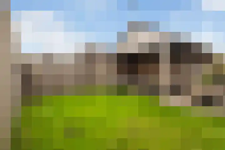 It Blauleech 54 Wirdum thumbnail 27