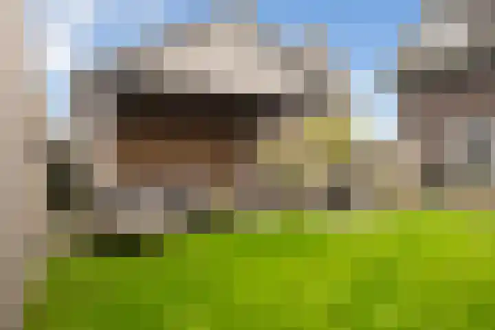 It Blauleech 54 Wirdum thumbnail 28