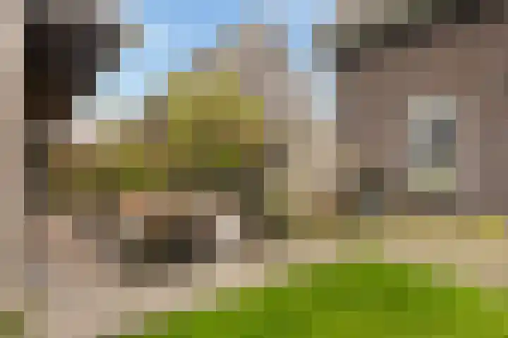 It Blauleech 54 Wirdum thumbnail 29