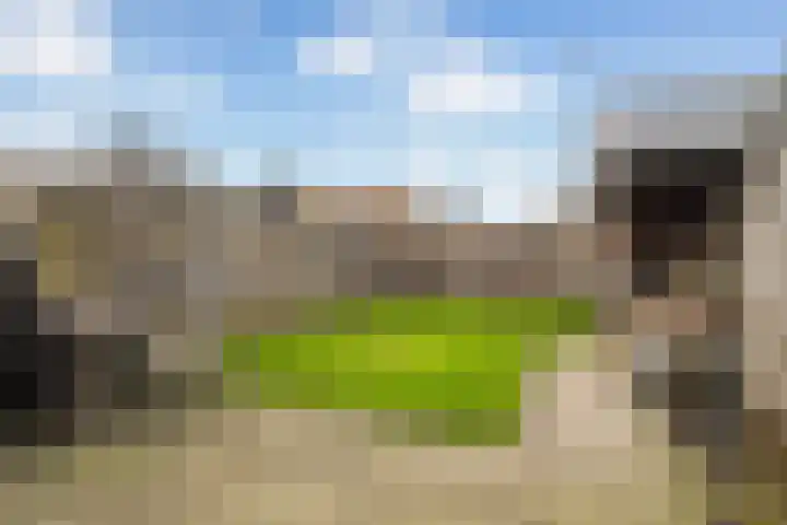 It Blauleech 54 Wirdum foto 3