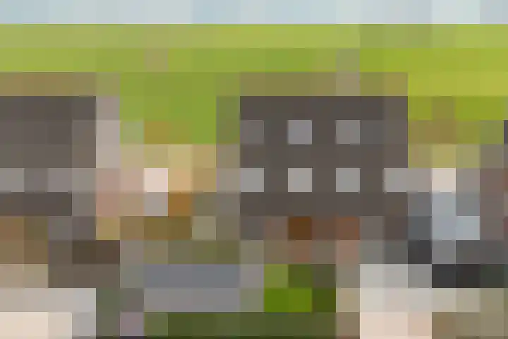 It Blauleech 54 Wirdum thumbnail 33