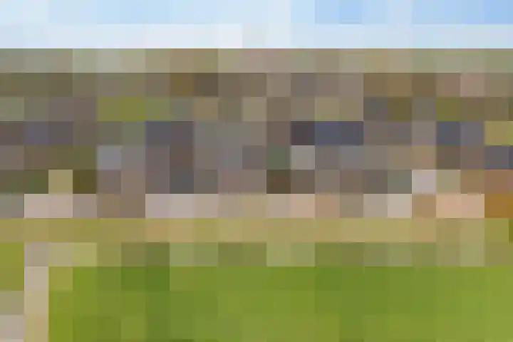 It Blauleech 54 Wirdum thumbnail 35