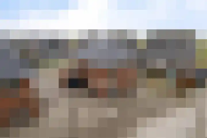 It Blauleech 62 Wirdum