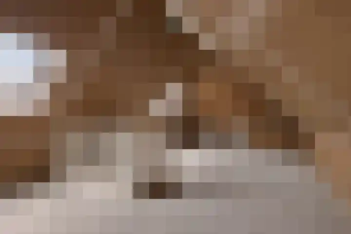 It Blauleech 62 Wirdum thumbnail 30