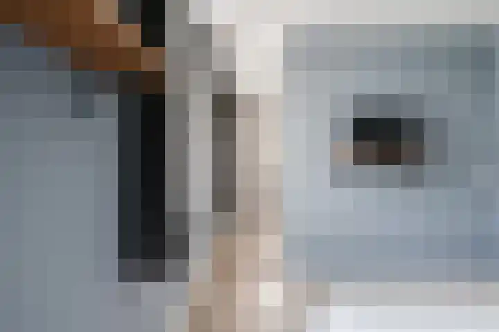 It Blauleech 62 Wirdum thumbnail 35