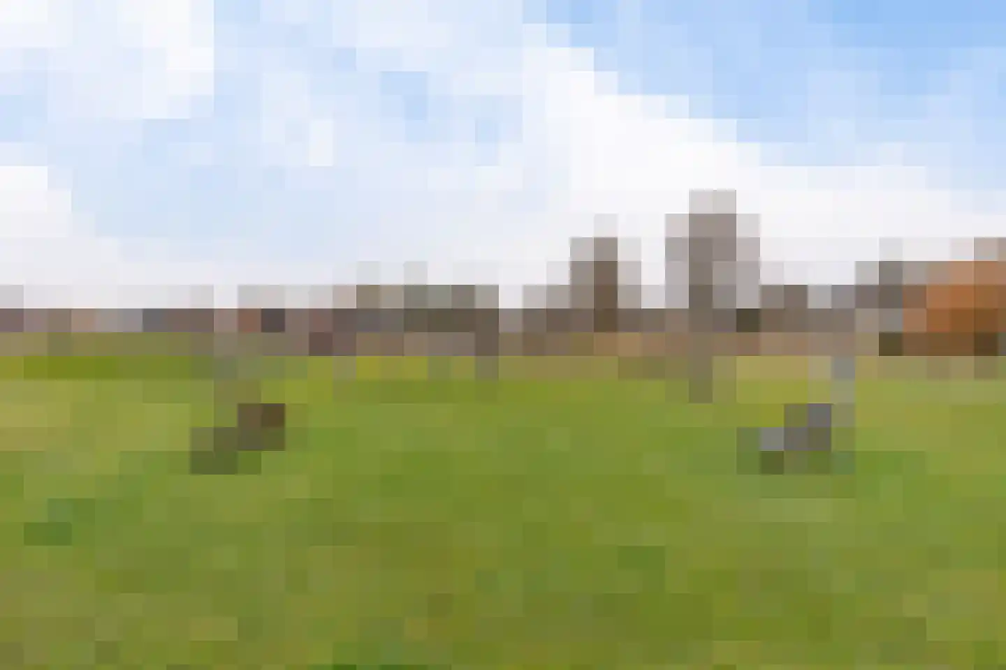 It Blauleech 62 Wirdum thumbnail 35