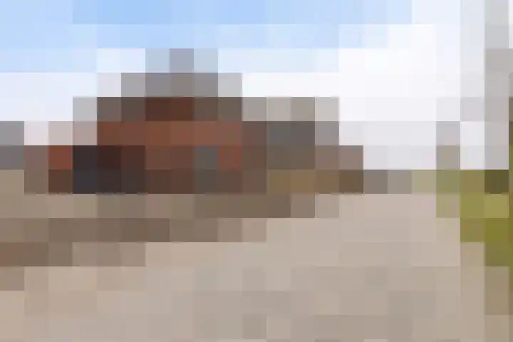 It Blauleech 62 Wirdum thumbnail 40