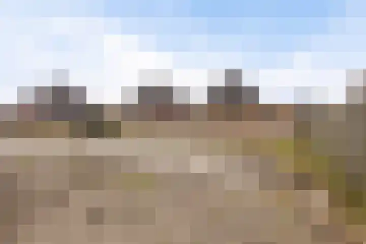 It Blauleech 62 Wirdum thumbnail 44