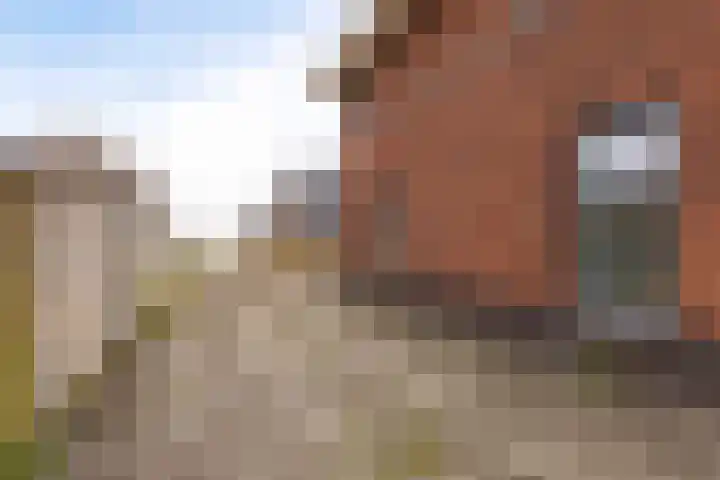 It Blauleech 62 Wirdum thumbnail 45