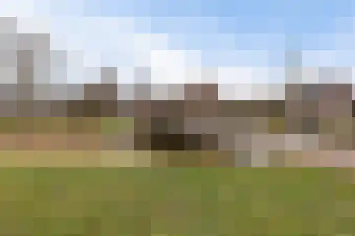 It Blauleech 62 Wirdum thumbnail 46