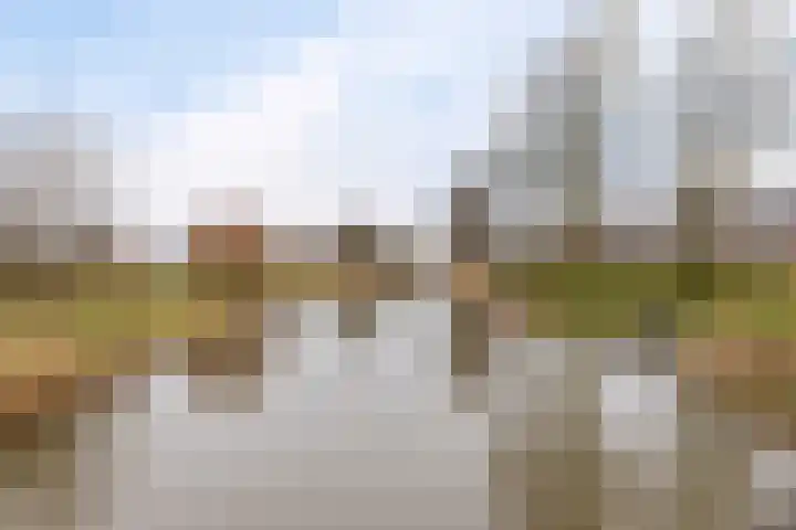 It Blauleech 62 Wirdum thumbnail 48