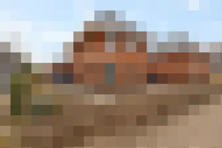 It Blauleech 64 in Wirdum