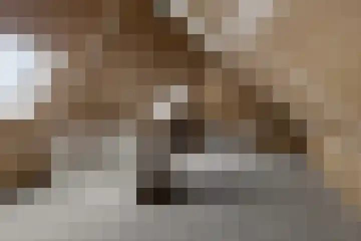 It Blauleech 64 Wirdum thumbnail 34