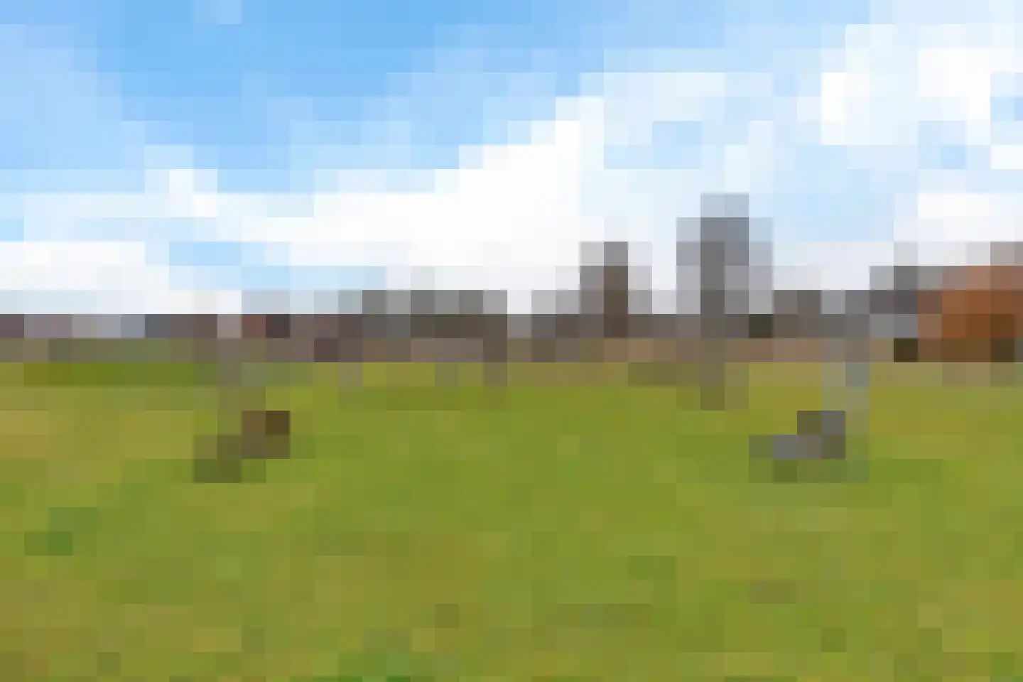 It Blauleech 64 Wirdum thumbnail 44