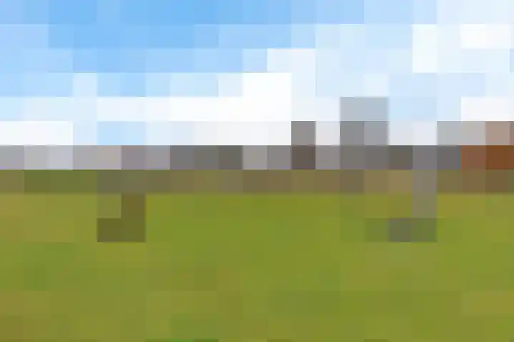 It Blauleech 64 Wirdum thumbnail 44