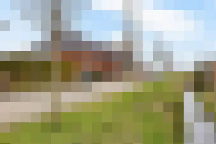 It Blauleech 64 Wirdum thumbnail 45