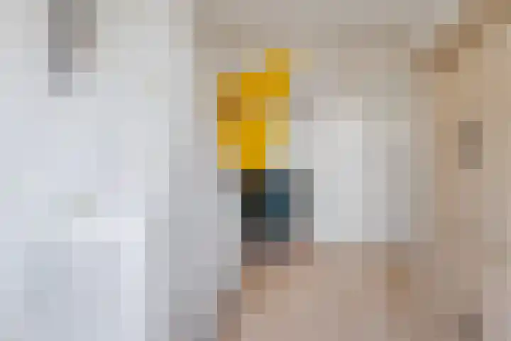 It Blauwe Slot 34 Goutum thumbnail 24