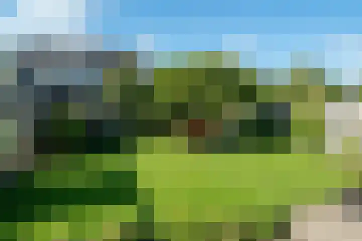 It Blauwe Slot 34 Goutum thumbnail 33