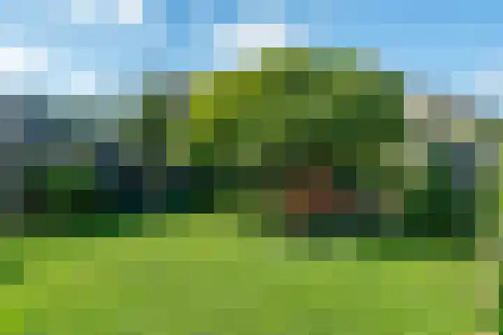 It Blauwe Slot 34 Goutum thumbnail 5