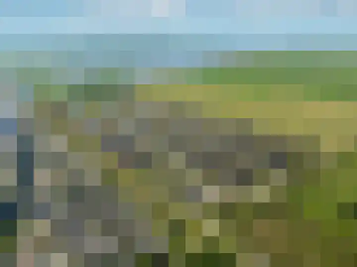 It Blyn 40 Lemmer thumbnail 8