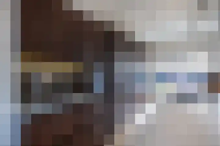 It Boumantsje 21 Leeuwarden thumbnail 18