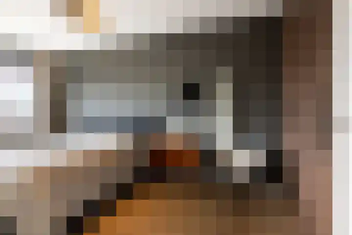 It Boumantsje 21 Leeuwarden thumbnail 32