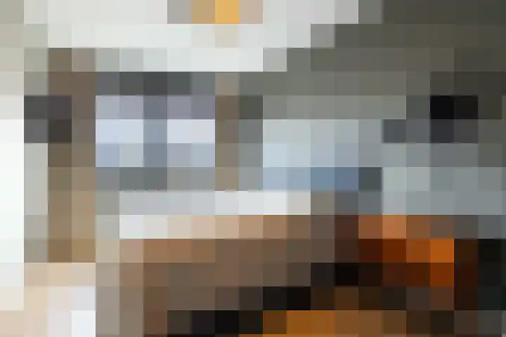 It Boumantsje 21 Leeuwarden thumbnail 33