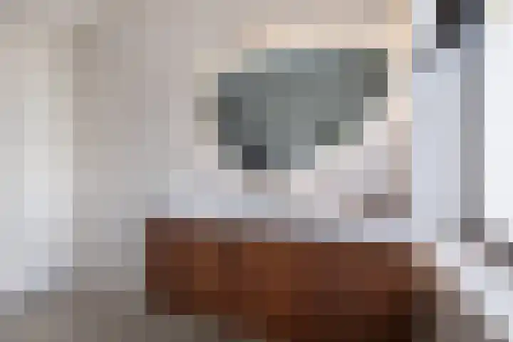 It Boumantsje 21 Leeuwarden thumbnail 4
